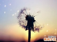 带时光的经典怀旧网名