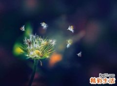 非主流颓废的伤感qq名