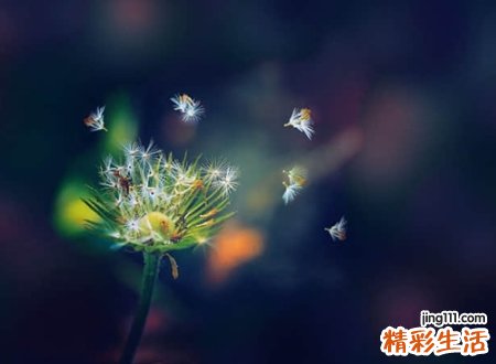 非主流颓废的伤感qq名