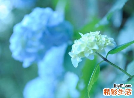 七个字的qq个性名字