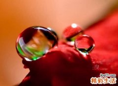 很霸气的网名