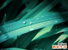 好看不做作的昵称