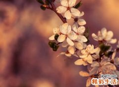 男生二字微信网名