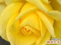 温馨温暖的网名