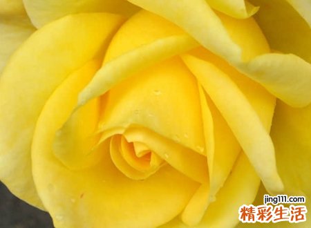 温馨温暖的网名
