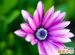 2021抖音最火的名字