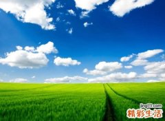 微信网名四个字版