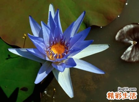 好听的三个字微信名字