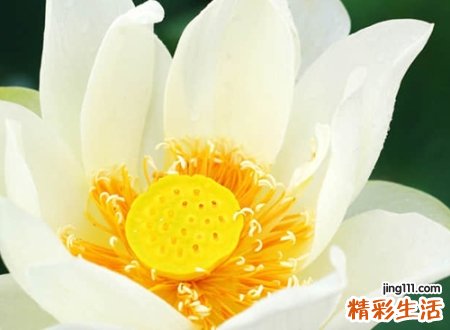 有寓意的名字网名