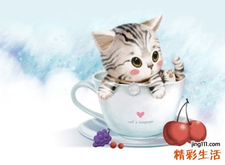 两个字的男生抖音网名