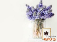 清新的名字微信版