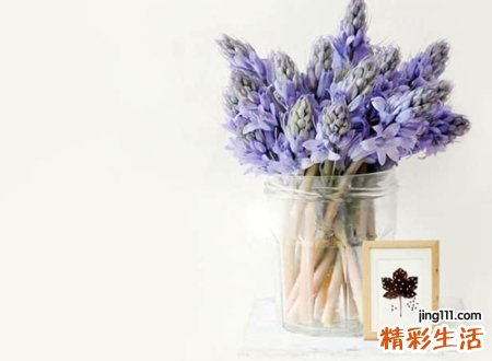 清新的名字微信版