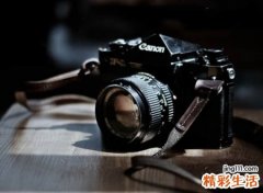 吸引粉丝的主播昵称