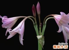 很无奈心酸的网名