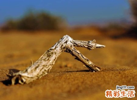 低俗灭世的恶搞网名