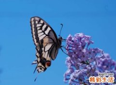 四个字的微信昵称