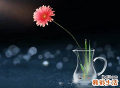 文艺点的名字微信版
