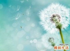 好听的名字网名