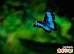 简约唯美的小清新网名