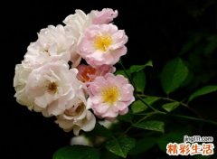 两个字的霸气网名