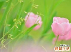 有深意的三个字抖音昵称