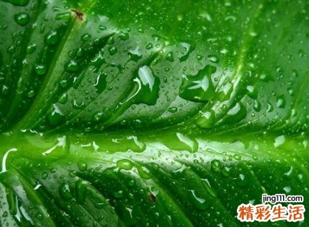 简单而有深意的三个字网名