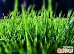 带静字高雅的微信名