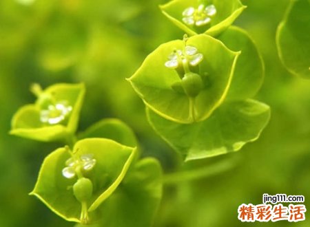 好听的两字罕见id昵称