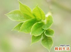 静心最高境界的网名