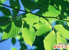 能上热门涨粉丝的网名