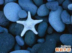ins小众网名
