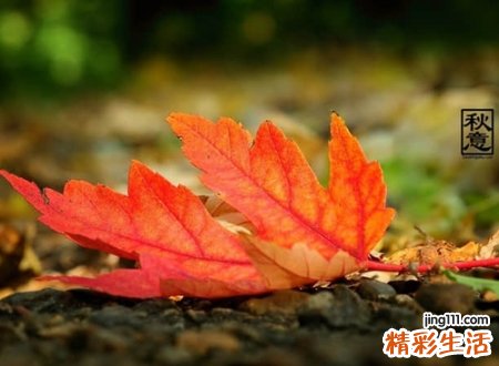 带红字的微信名