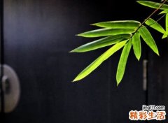 古风淡雅脱俗的微信名