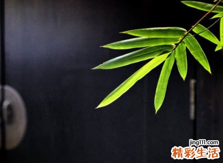 古风淡雅脱俗的微信名
