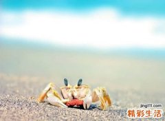 2021年独一无二的微信名