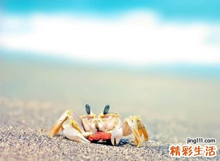 2021年独一无二的微信名