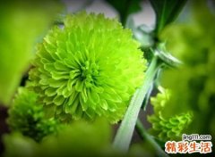 一生难忘的微信名字