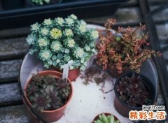 网易云伤感id昵称