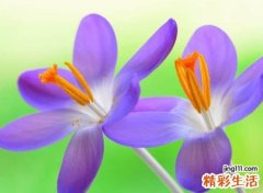 快手最吸引粉丝的网名