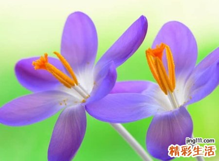 快手最吸引粉丝的网名