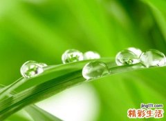 简洁的抖音名