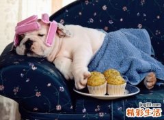 一眼就记住的骚id昵称