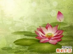 经典三字id昵称