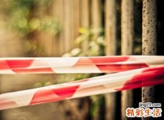 满是遗憾的王者名字