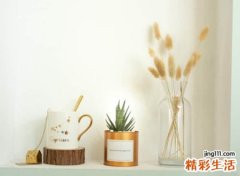 有文化高雅内涵的抖音名字