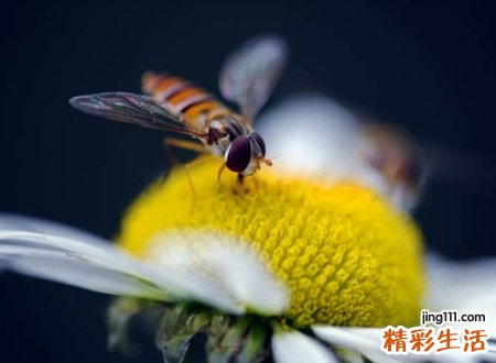 两个字网名好听又吸引人