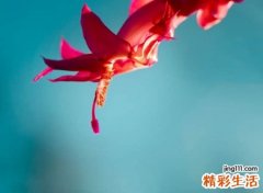 带娟字的微信昵称