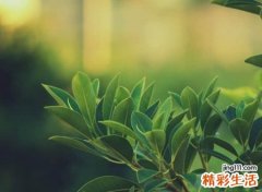 冷门的独特昵称