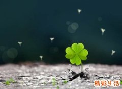 往事清零的微信昵称