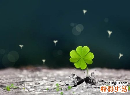 往事清零的微信昵称